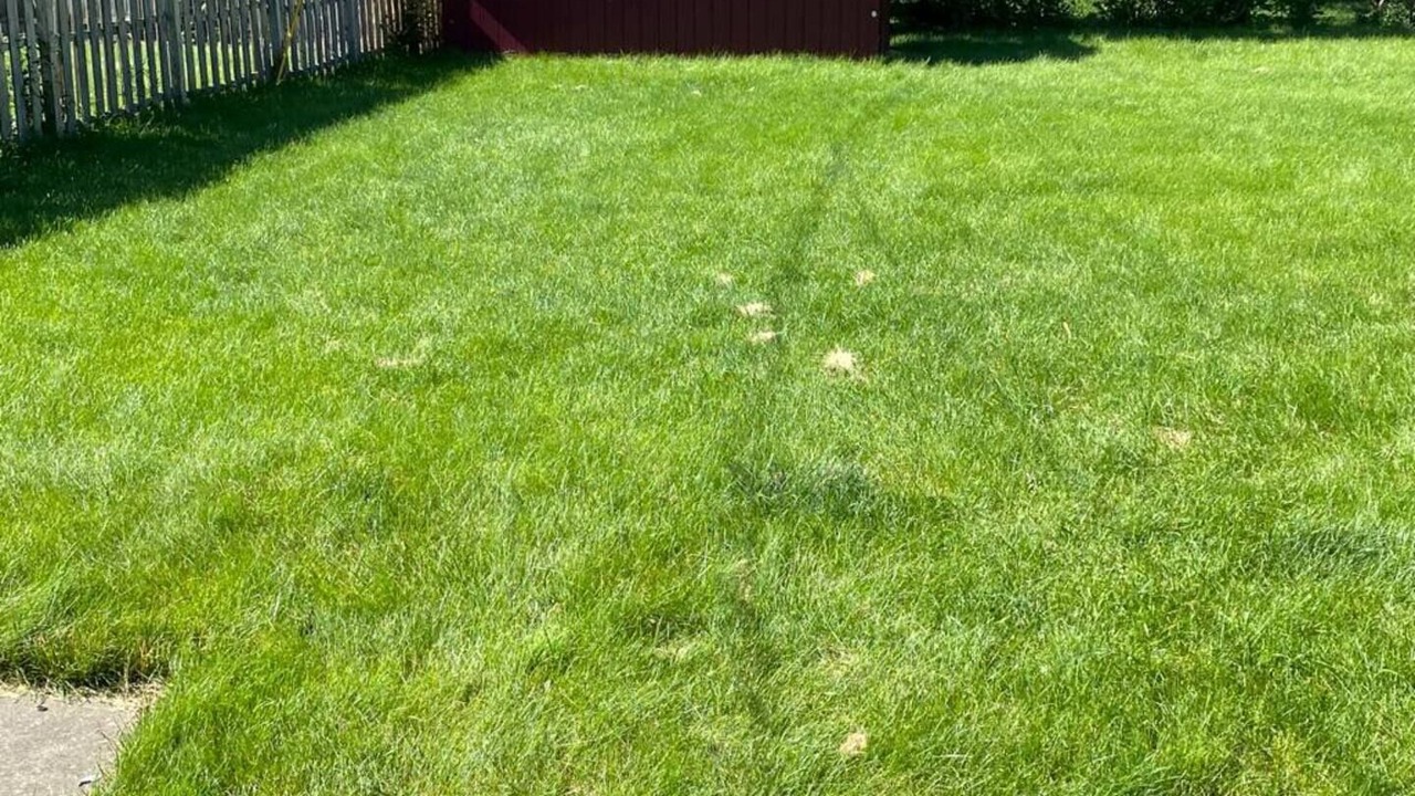 Photo of Outdoor in Roseville