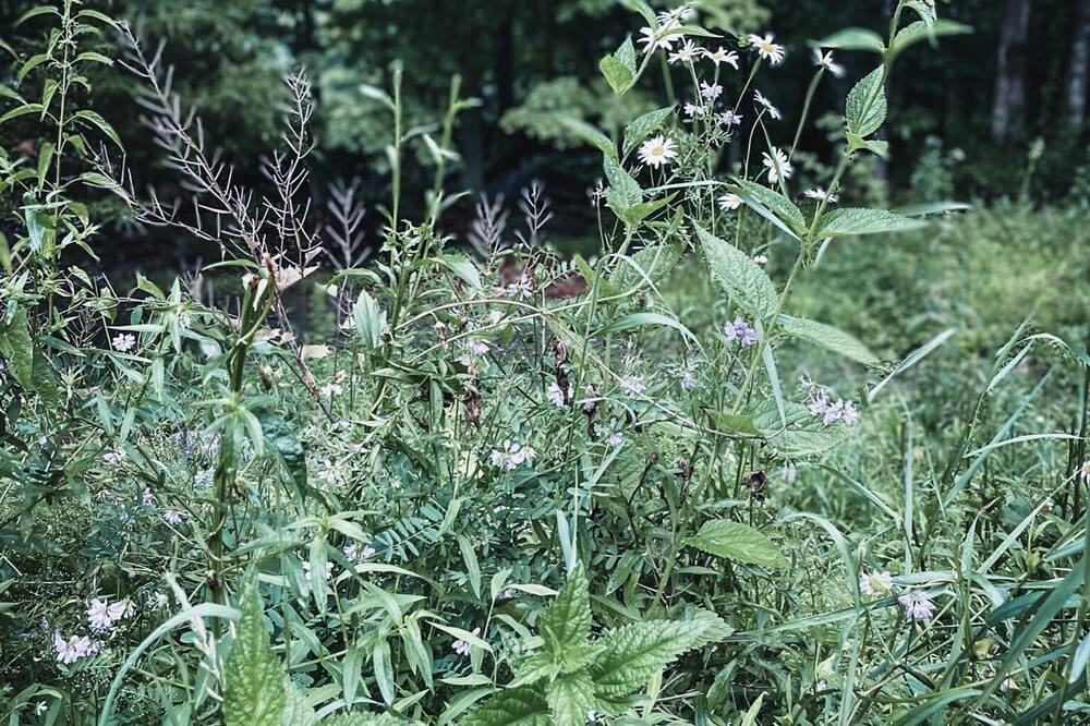 Photo of Outdoor in Accord
