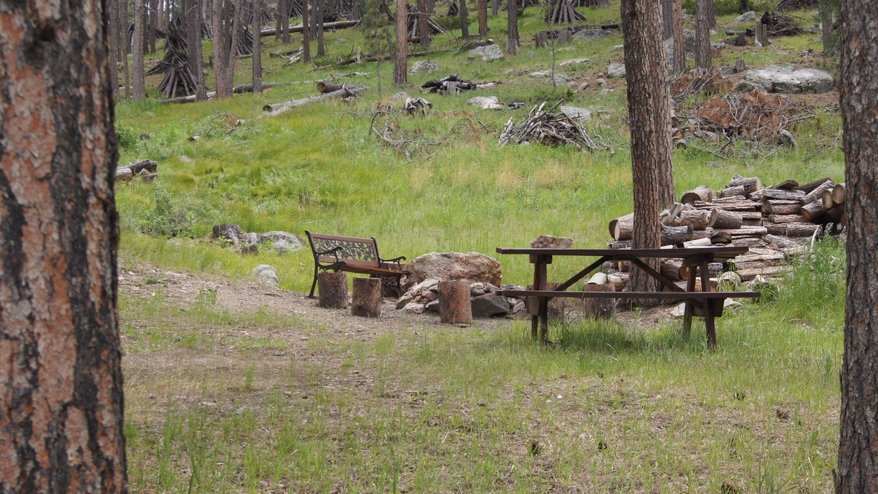 Photo of Outdoor in Custer