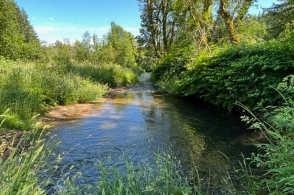 Photo of Others in Yamhill County