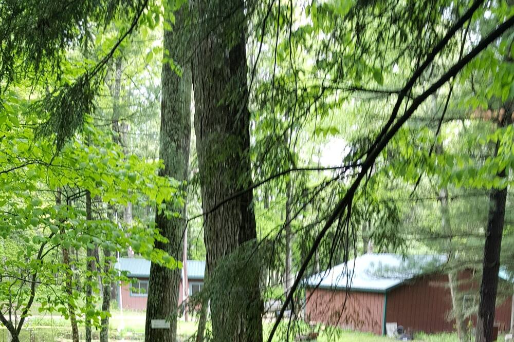 Photo of Others in Newaygo