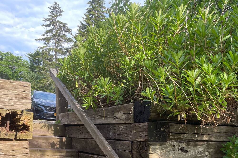 Photo of Outdoor in Sebascodegan Island
