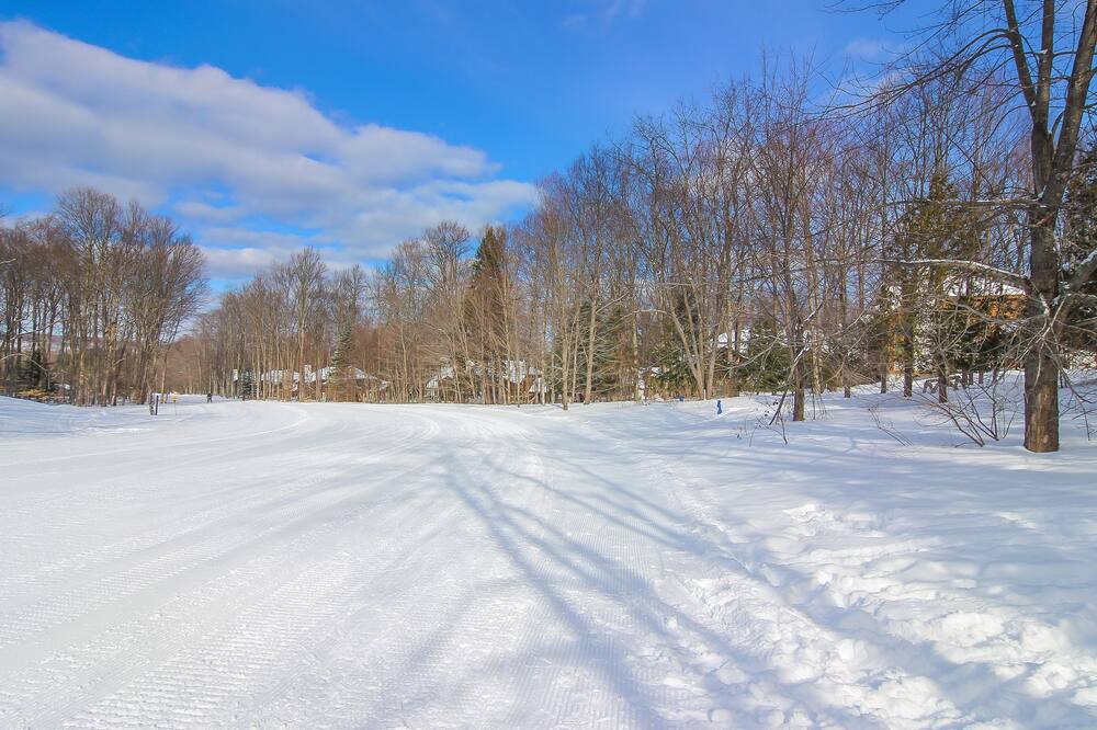 Photo of Others in Boyne Falls