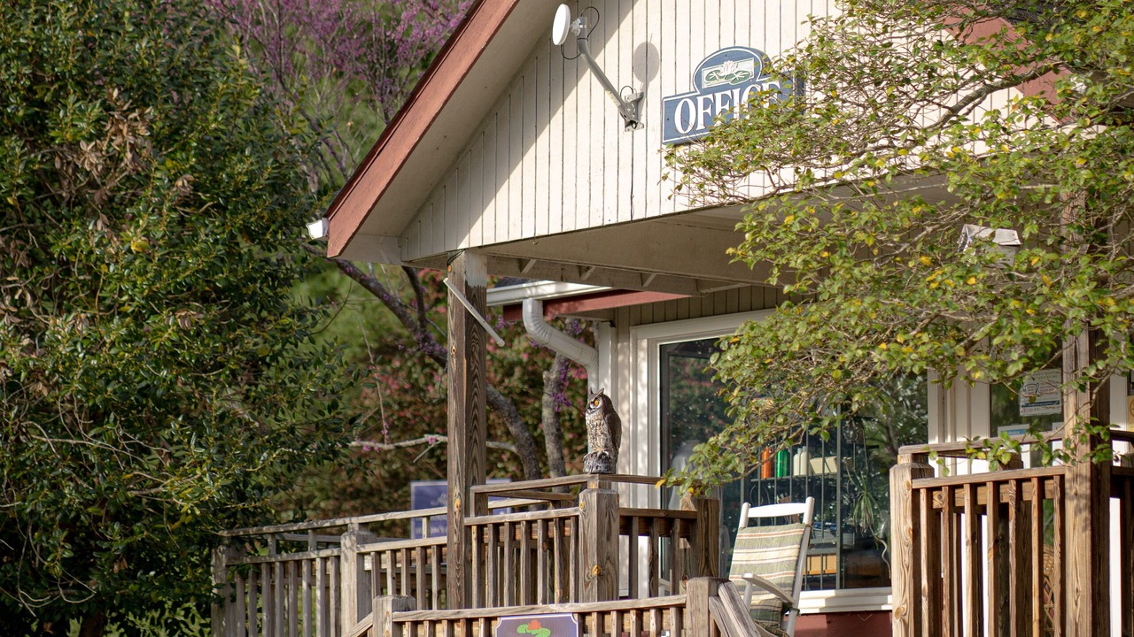 Photo of Others in Flat Rock