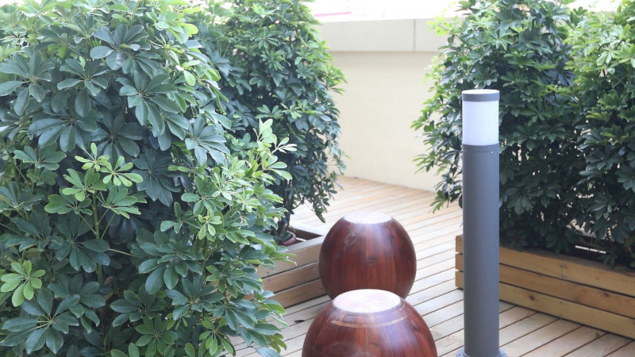 Photo of Others in Hexi