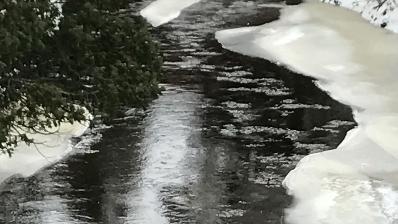 Photo of Others in Eagle River
