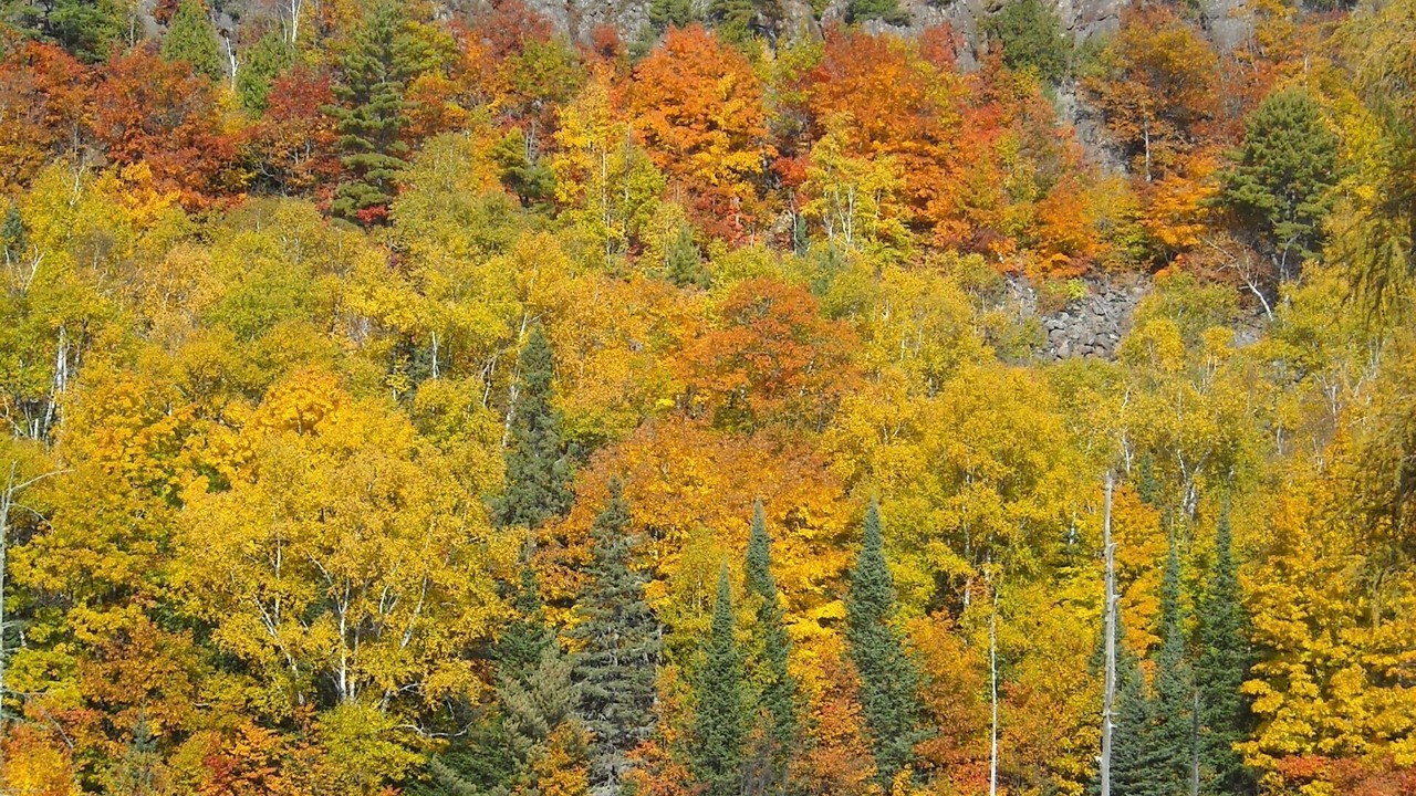 Photo of Outdoor in Eagle River