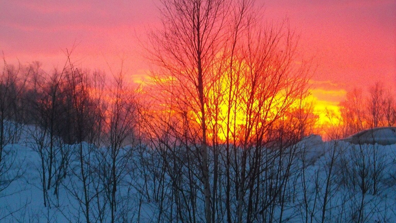Photo of Others in Eagle River