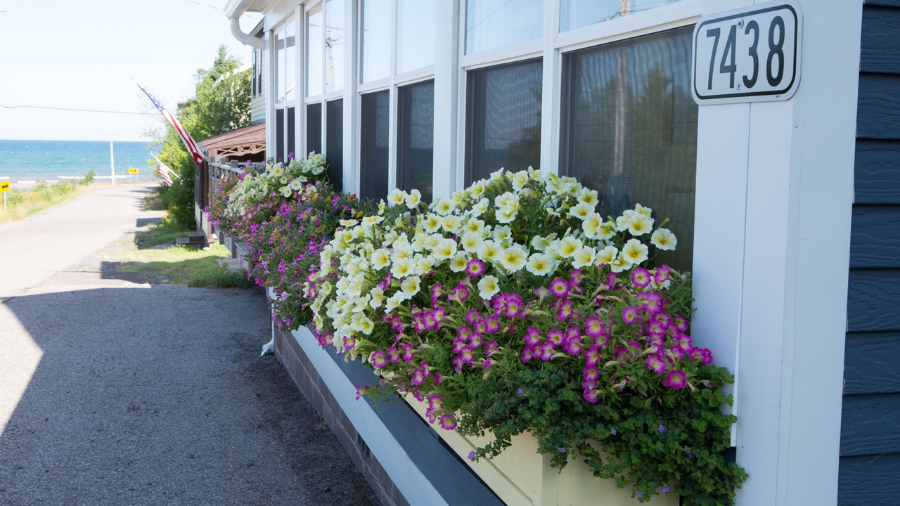 Photo of Outdoor in Eagle River