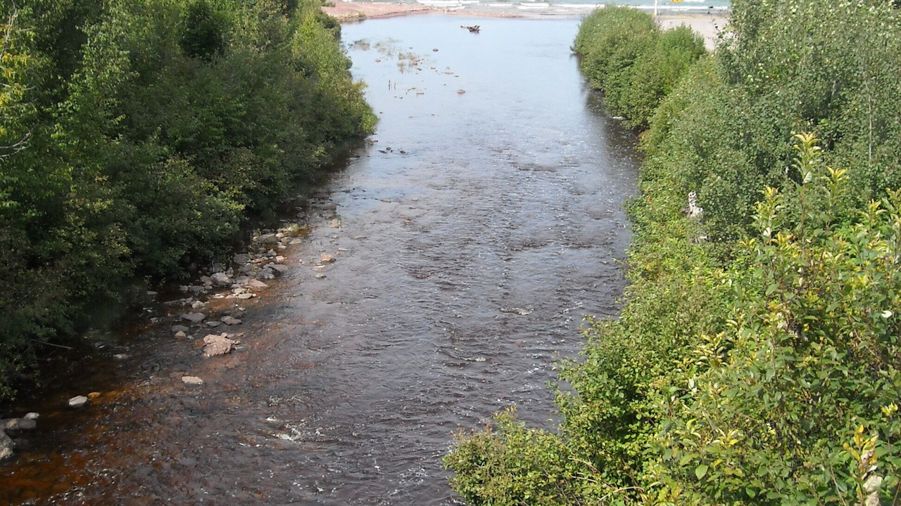 Photo of Others in Eagle River