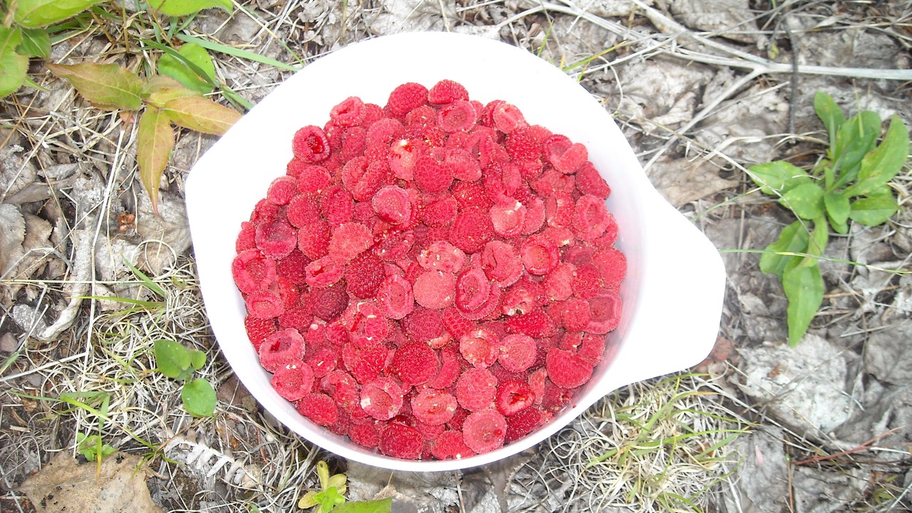 Photo of Others in Eagle River