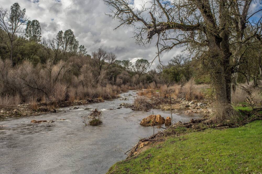 Photo of Others in Mariposa