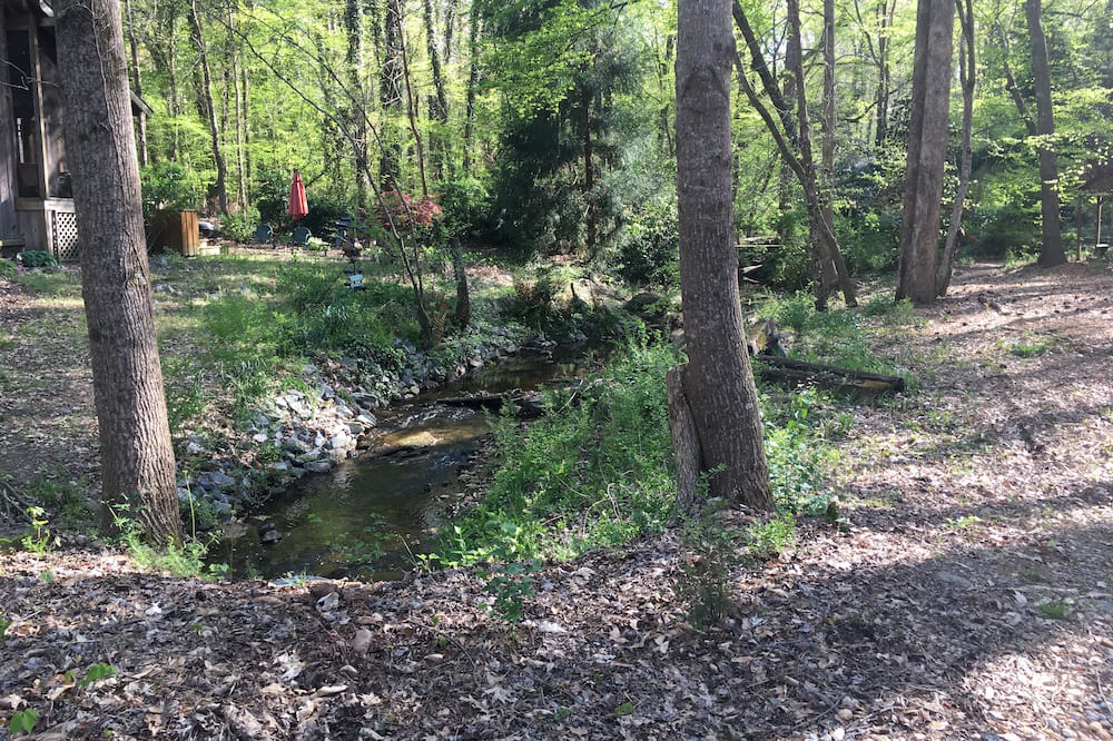 Photo of Others in Mountain Park