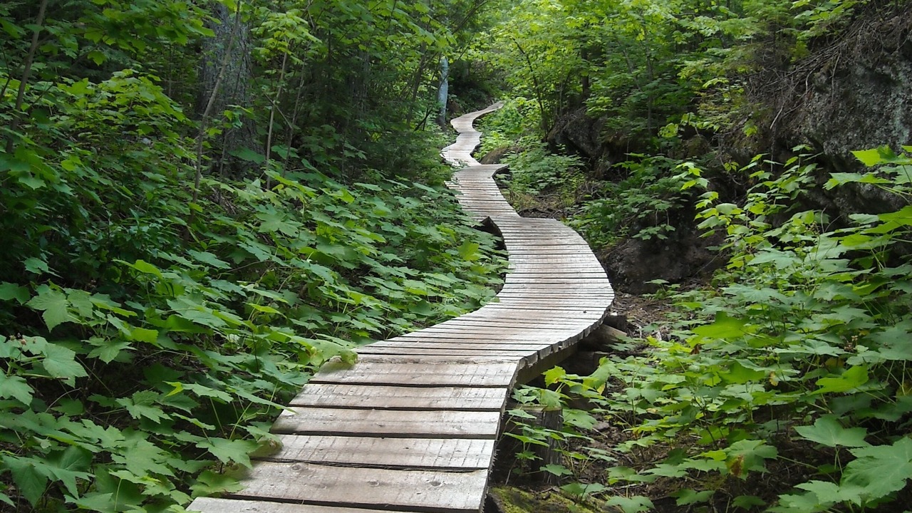 Photo of Outdoor in Eagle River
