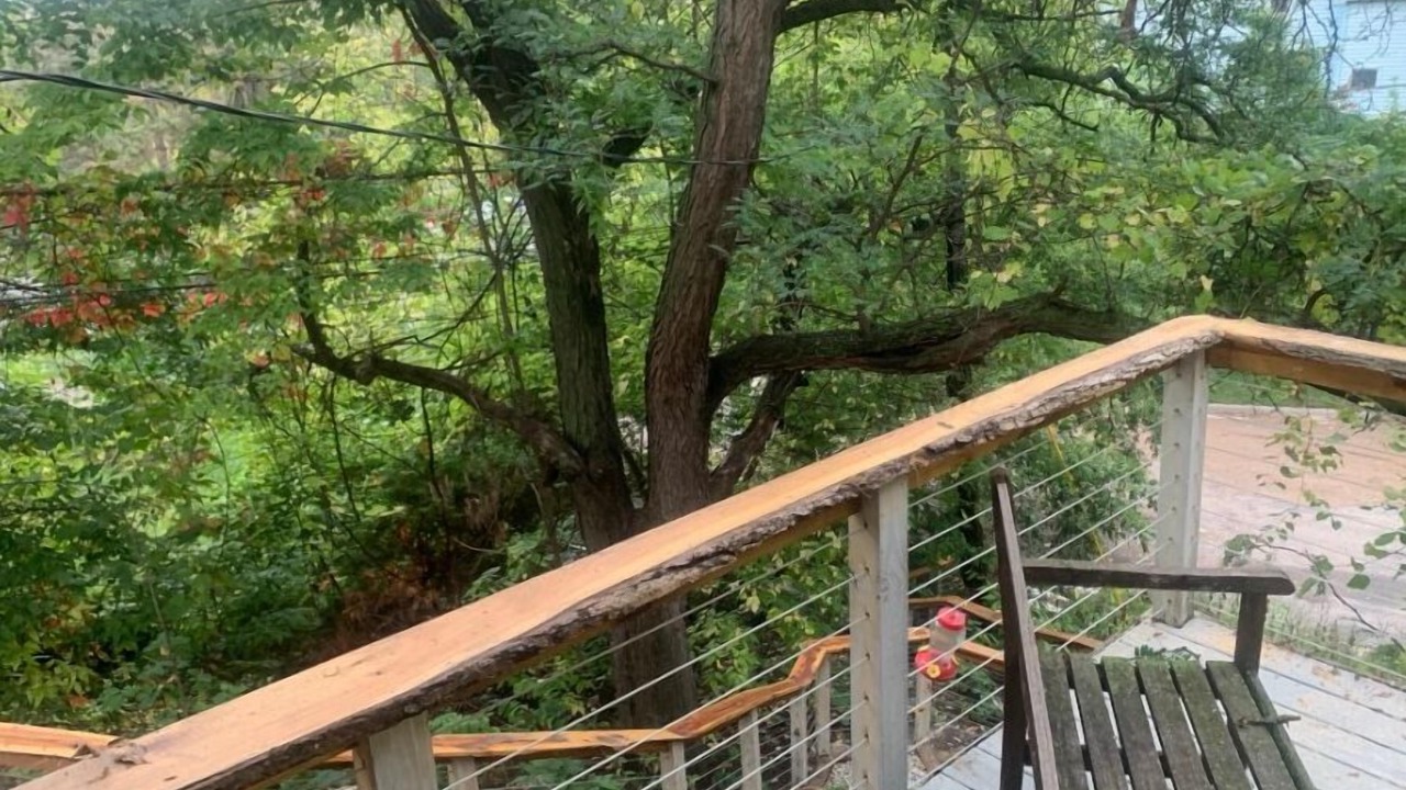 Photo of Others in South St. Paul