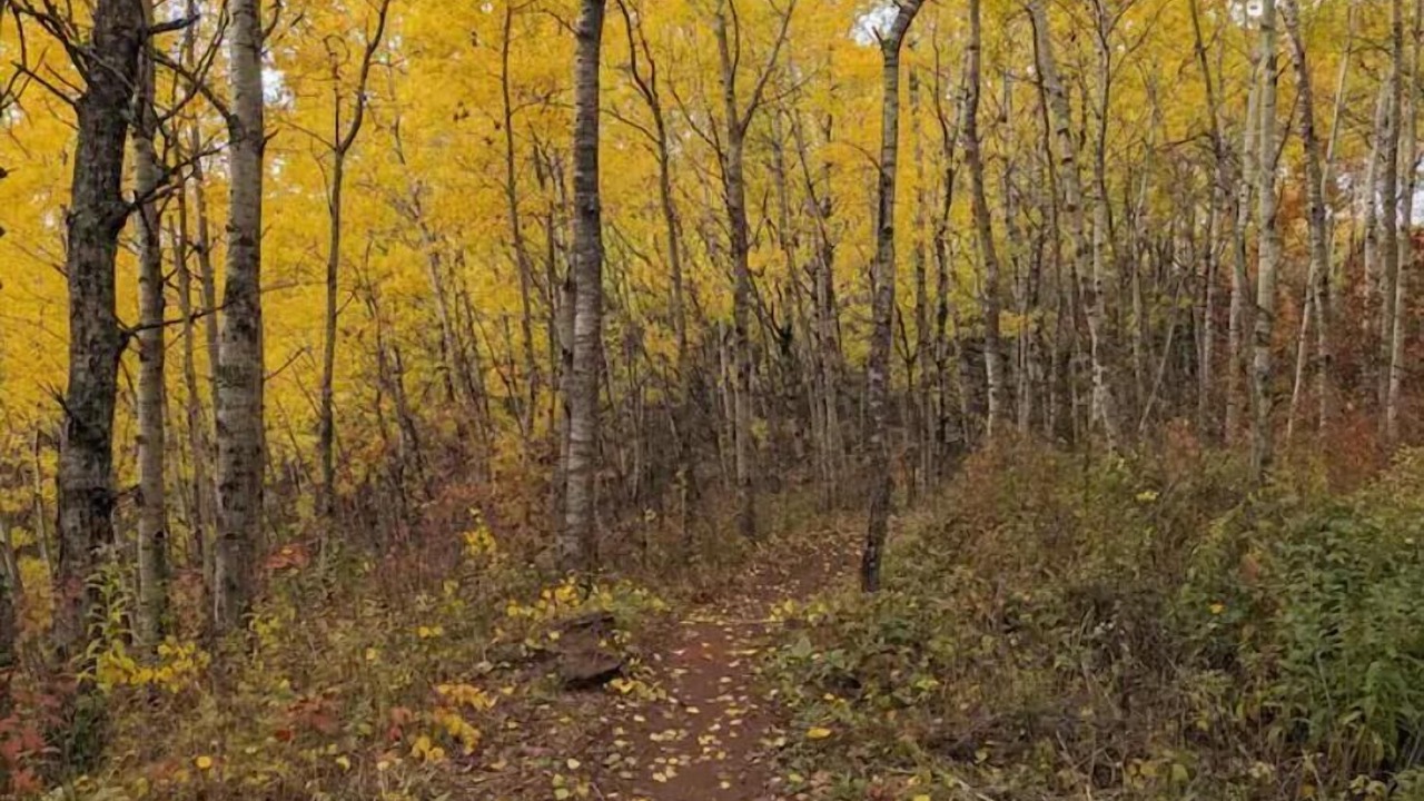 Photo of Others in Deerwood