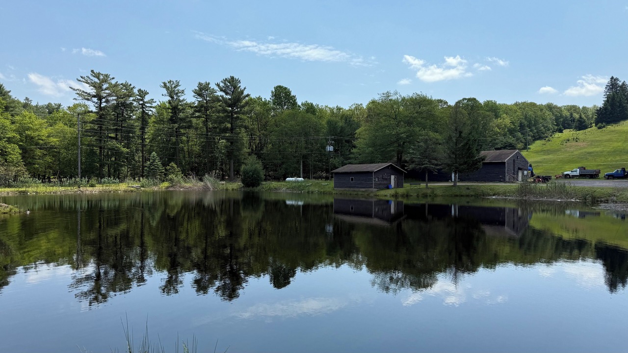 Photo of Outdoor in Lake Harmony