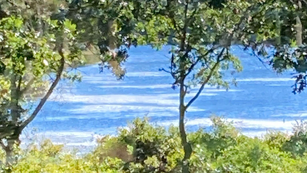 Photo of Others in West Tisbury