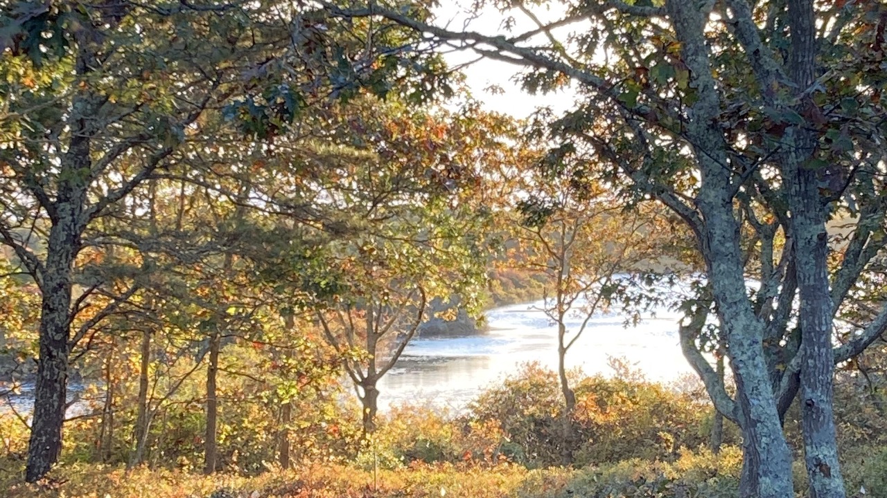 Photo of Outdoor in West Tisbury