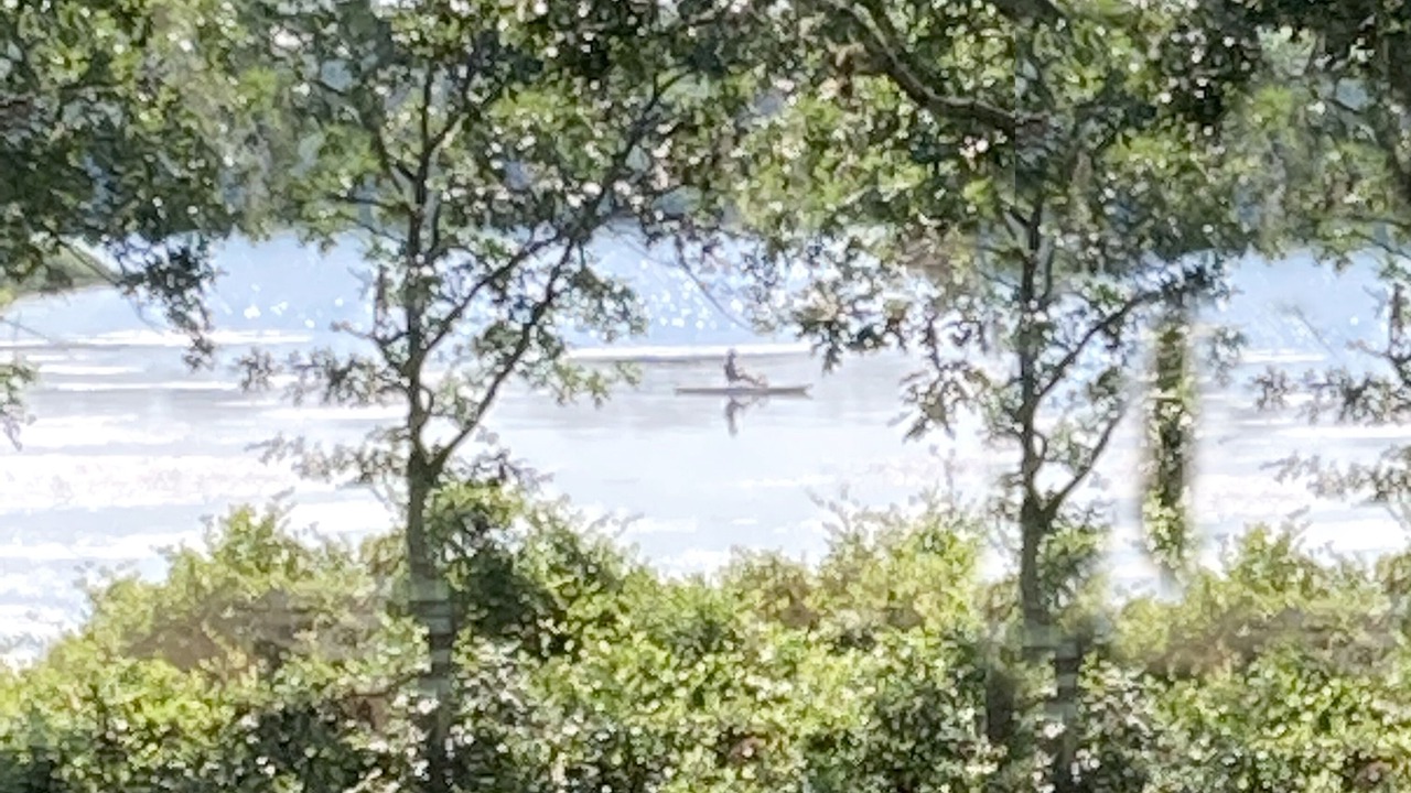 Photo of Others in West Tisbury