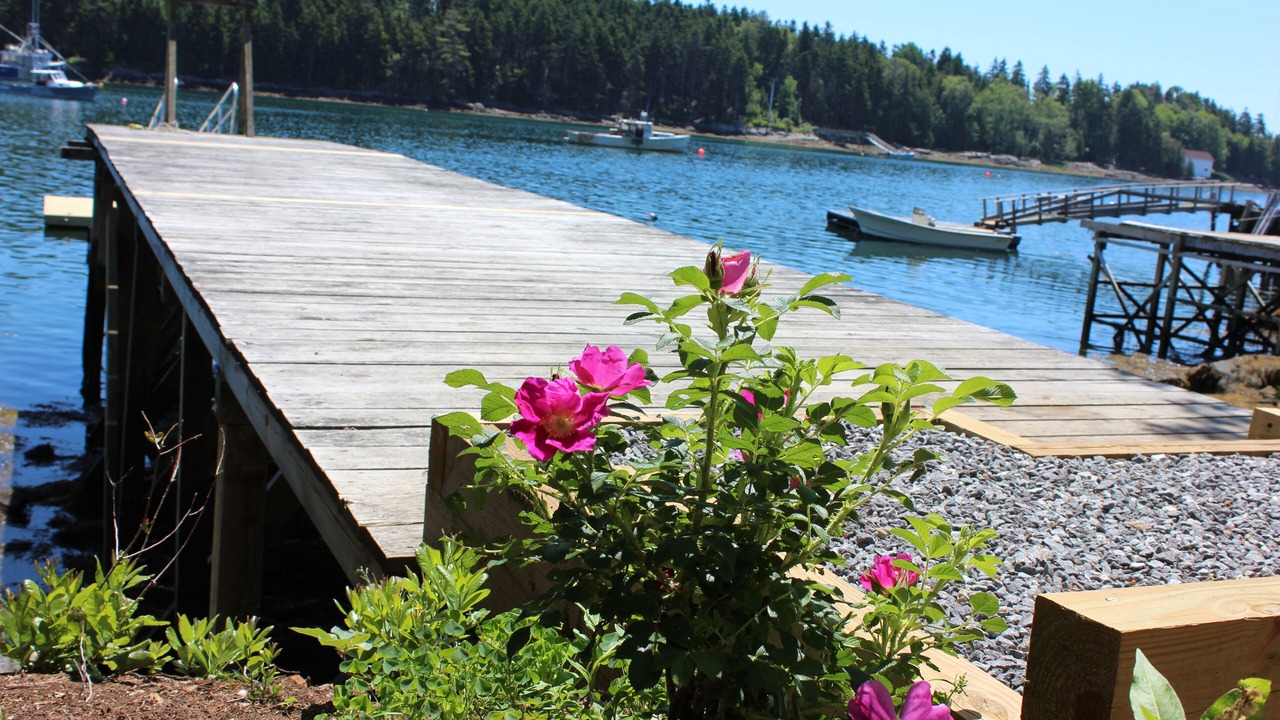 Photo of Outdoor in Sebascodegan Island