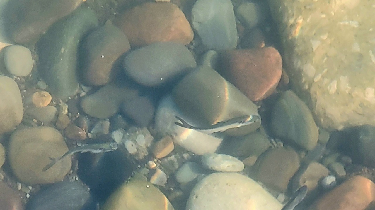 Photo of Others in Mentor-on-the-Lake