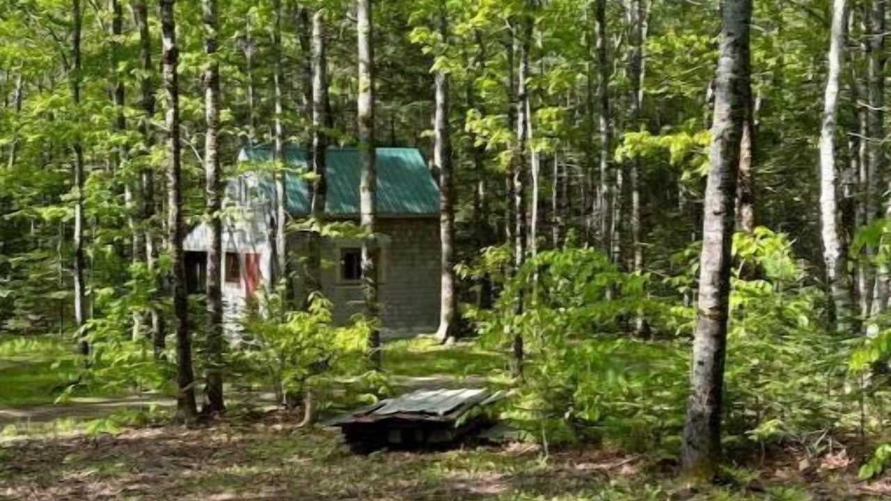 Photo of Outdoor in Wiscasset