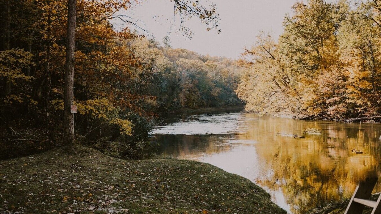 Photo of Others in Grant