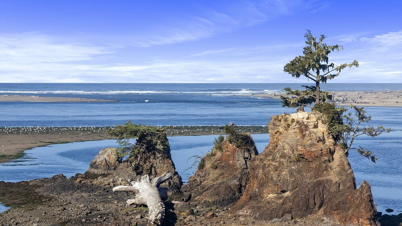 Photo of Others in Lincoln City