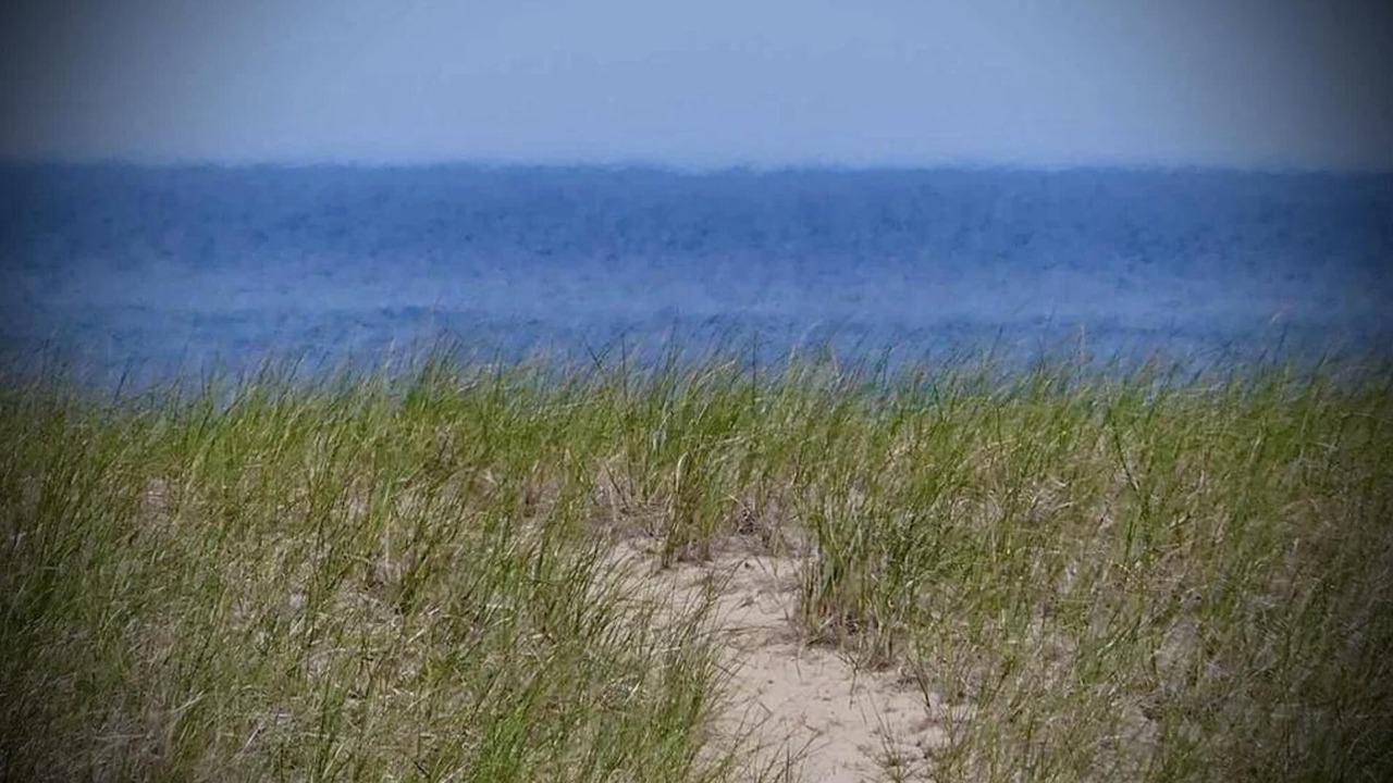 Photo of Others in Grand Marais