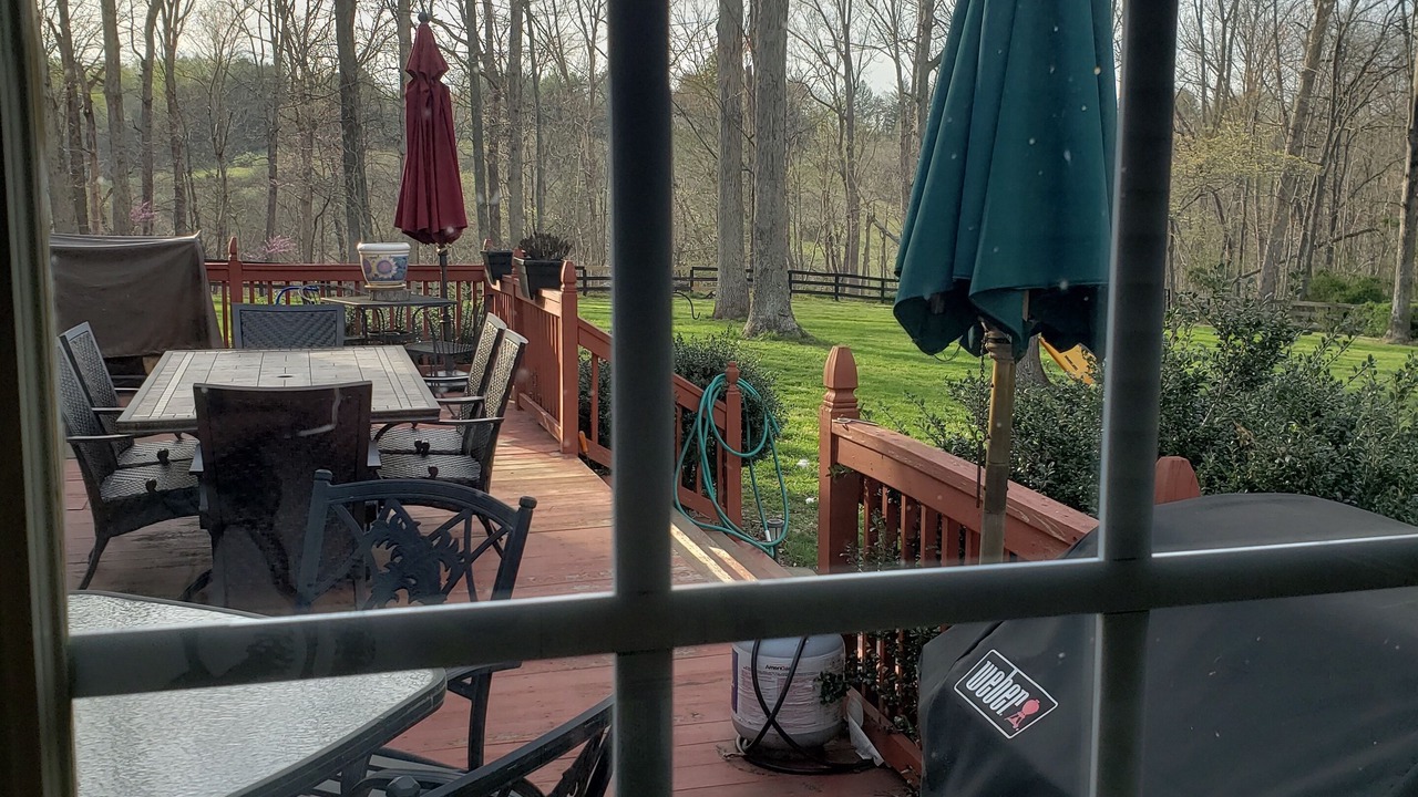 Photo of Outdoor in Calverton