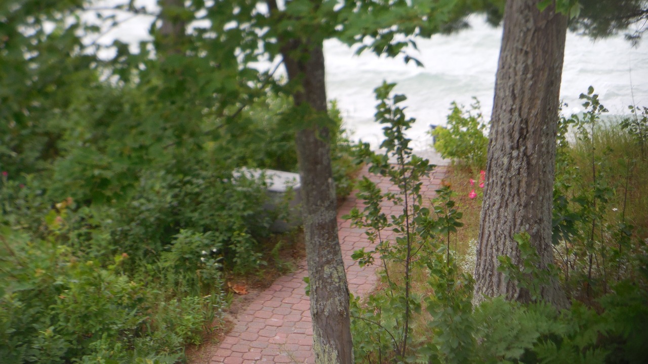 Photo of Outdoor in Williamsburg