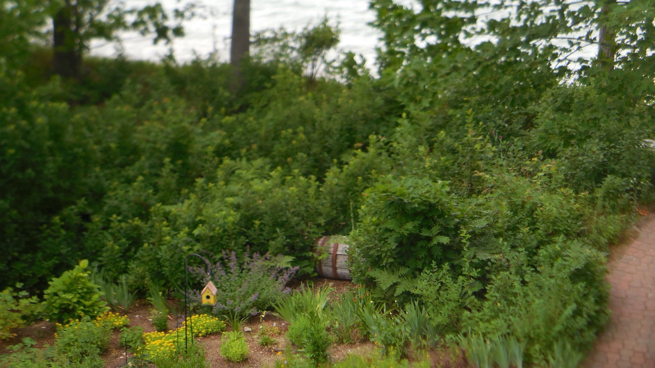Photo of Outdoor in Williamsburg