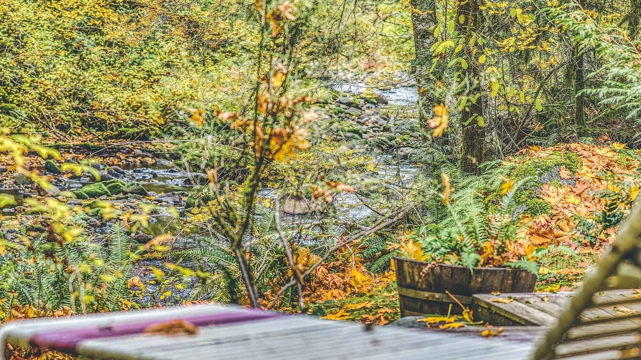 Photo of Others in Rhododendron