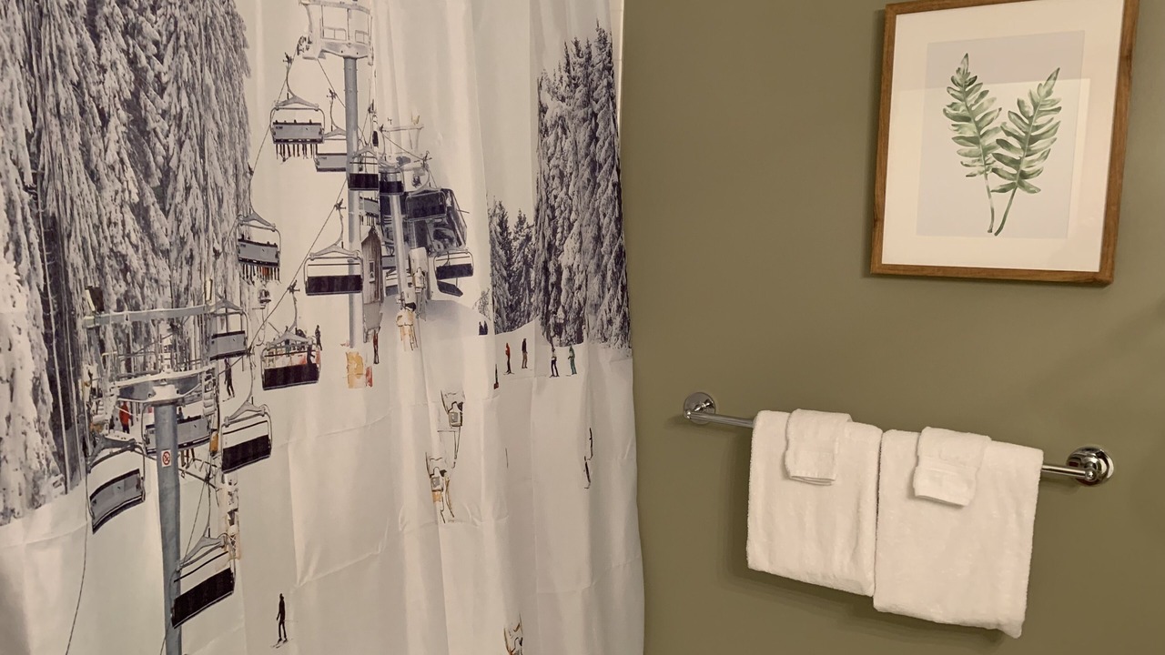 Photo of Bathroom in Boyne Falls