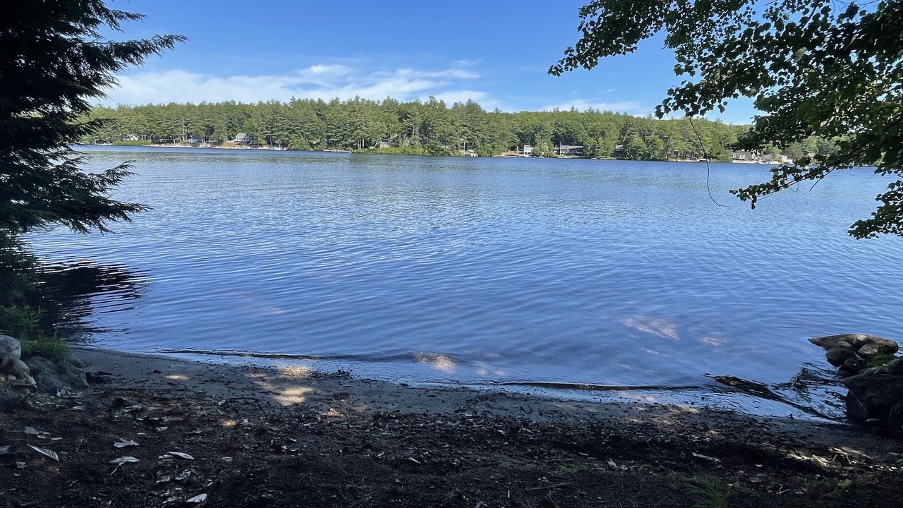 Photo of Others in Rindge