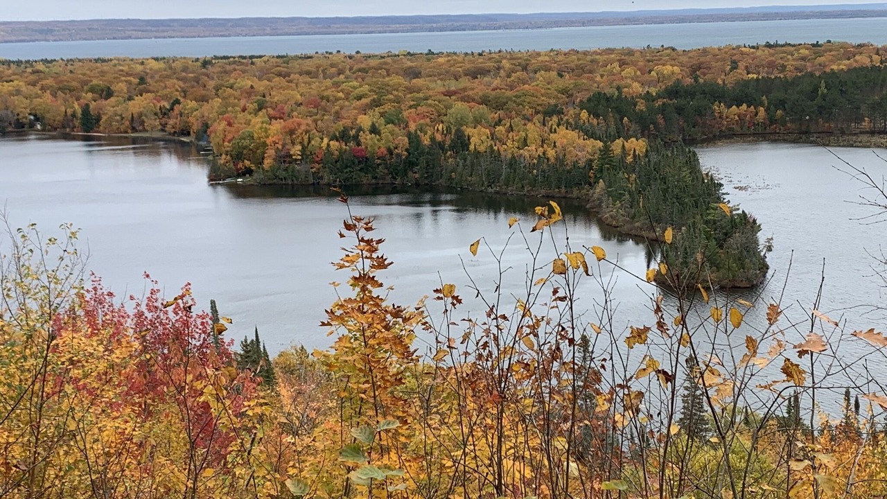 Photo of Others in Brimley