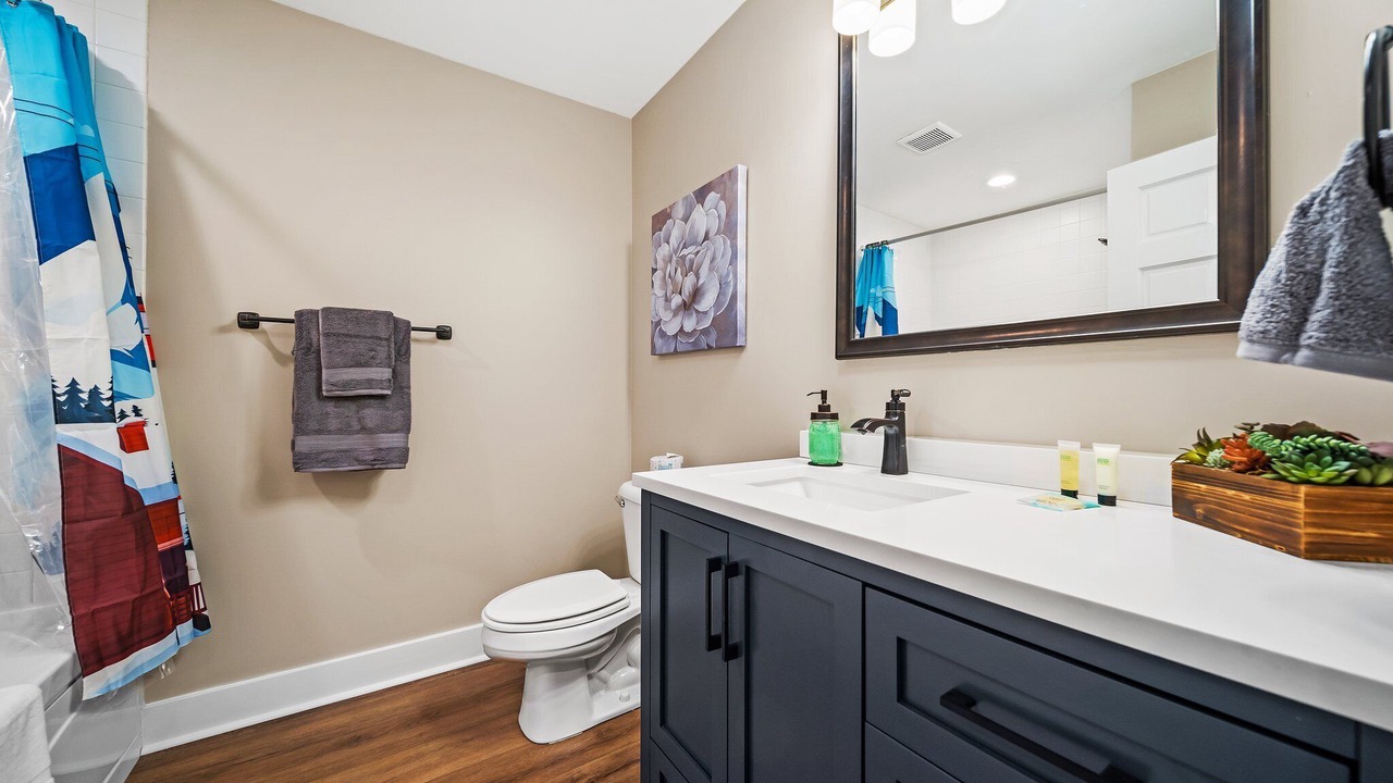 Photo of Bathroom in Boyne Falls