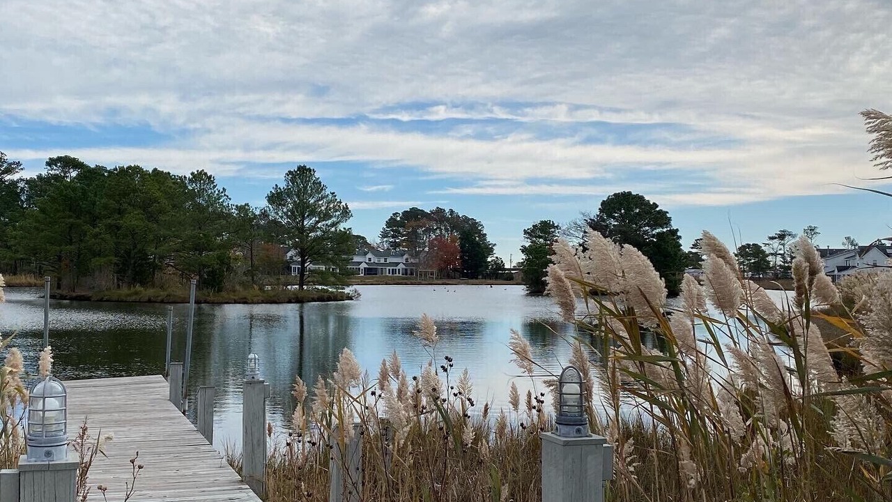 Photo of Outdoor in Selbyville