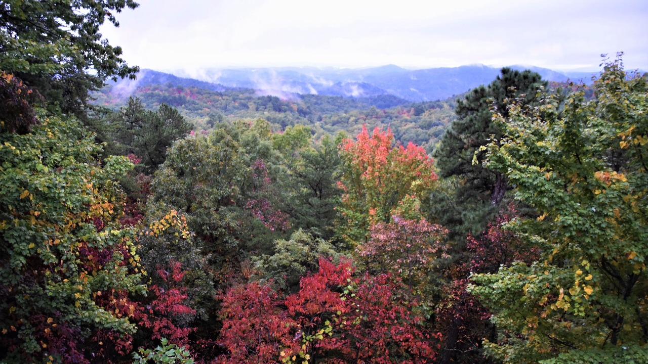 Photo of Outdoor in Screamer Mountain
