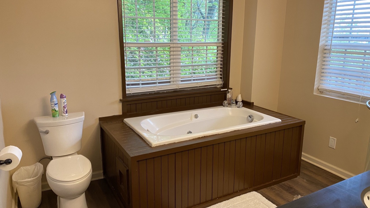 Photo of Bathroom in Screamer Mountain