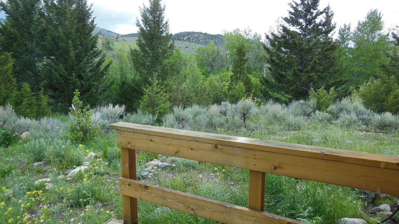 Photo of Outdoor in McAllister