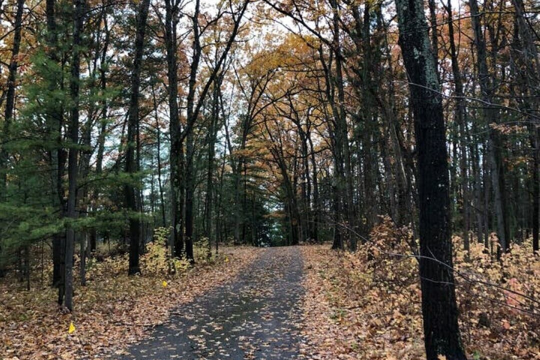 Photo of Outdoor in Interlochen