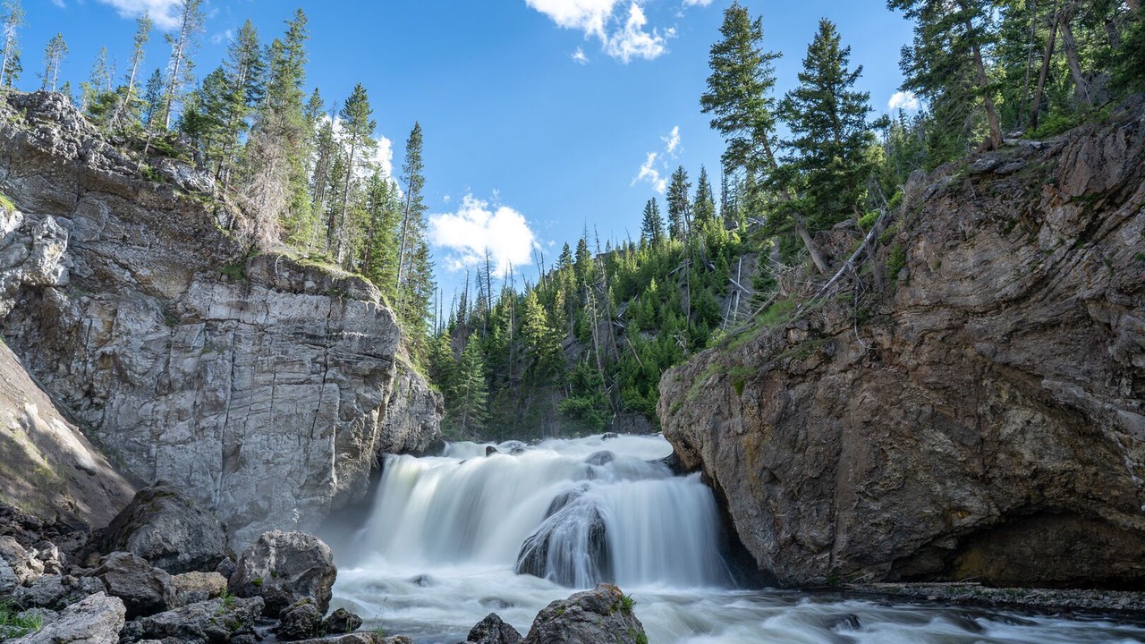 Photo of Others in West Yellowstone