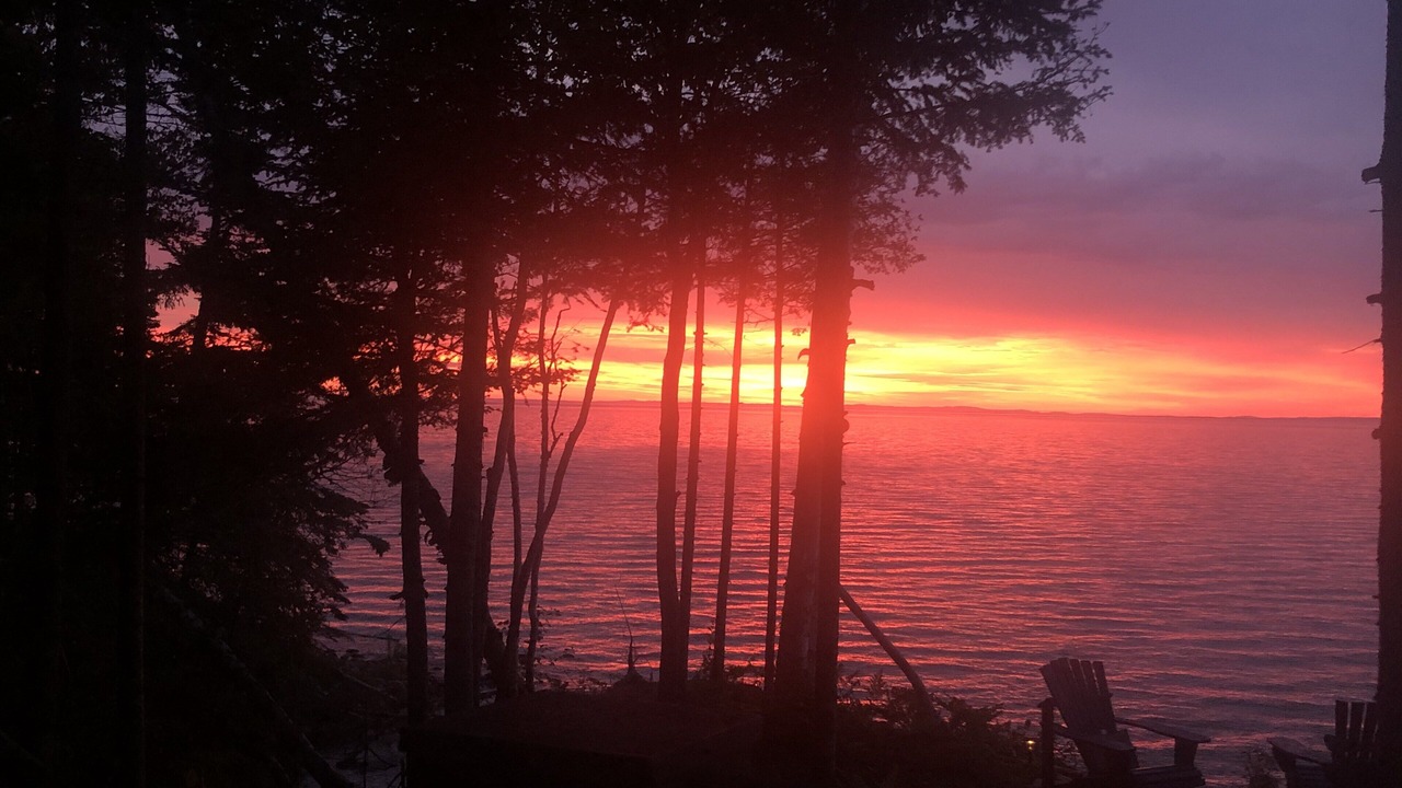 Photo of Outdoor in Paradise