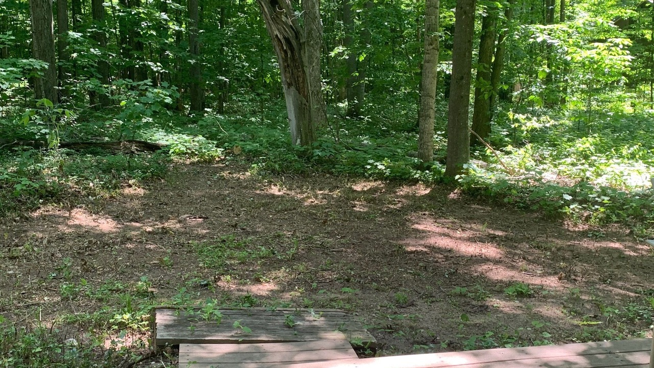 Photo of Outdoor in Harbor Springs