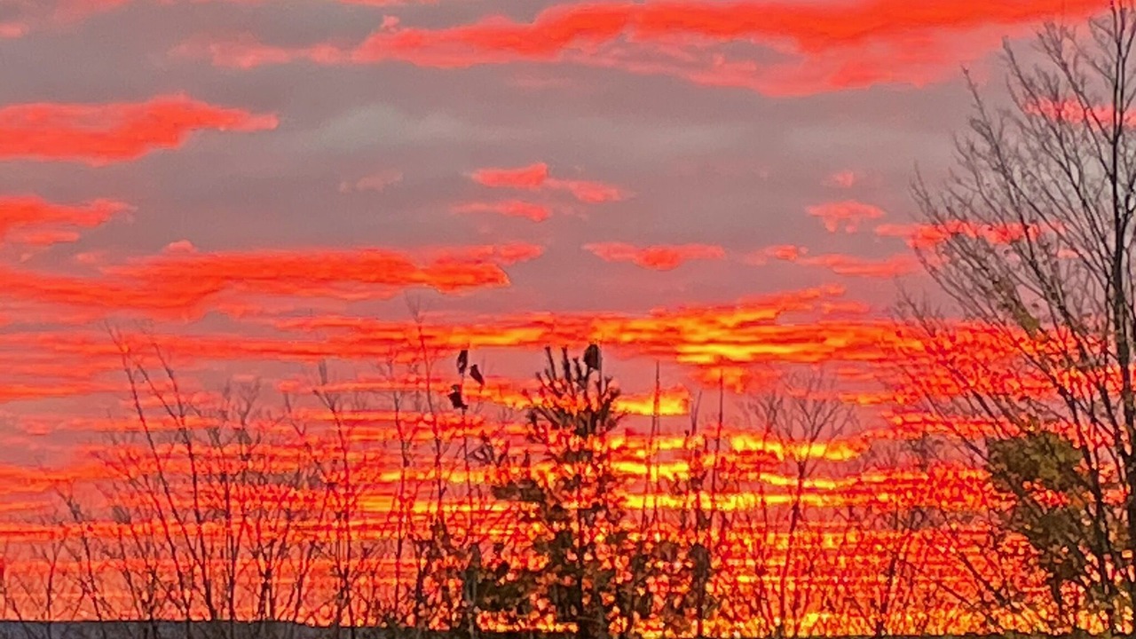 Photo of Outdoor in Harbor Springs