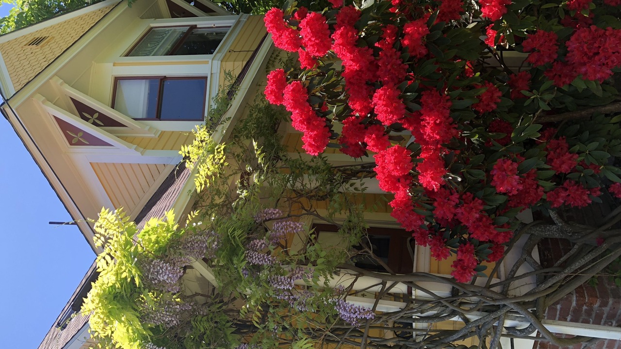 Photo of Outdoor in Historic Downtown District