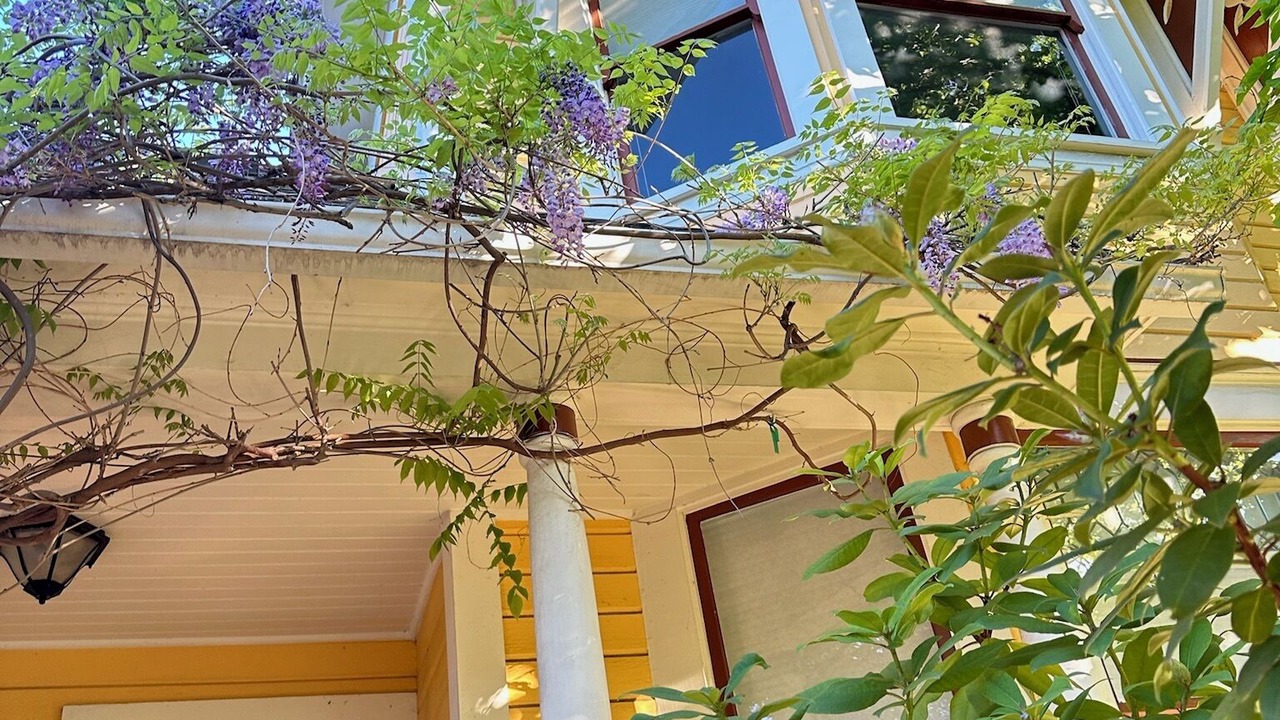 Photo of Outdoor in Historic Downtown District