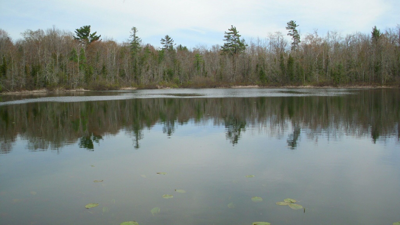 Photo of Outdoor in Interlochen